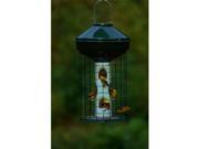 Vari Crafts Wire Cage Mixed Seed Feeder 3 Gal. No Pole
