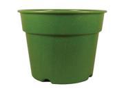 Rossos International 5.6in. X 7.1in. Grass Decorative Biodegradable Bamboo Pot P5 Pack of 6
