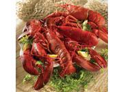 Lobster Gram JTL2Q JUST THE LOBSTERS WITH 1.25 LB LOBSTERS