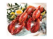 Lobster Gram LG2C LOBSTER GRAM DINNER FOR TWO WITH 1 LB LOBSTERS