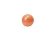 Ecowise 85500 Fitness Ball Sunflower