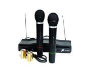 New Nippon Dm306 Dual Wireless Microphones With Wireless Receiver
