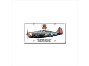Past Time Signs DP014 P 47D Thunderbolt Aviation License Plate