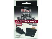 Bonide Revenge Mouse Glue Traps 2 Pack 47020 11100