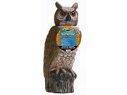 Dalen Products SRHO 4 Sol R Action Owl