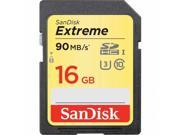 Sandisk Extreme Sdhc Memory Card 16Gb Sdsdxne 016G Ancin Class 10 Uhs Iii