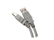 Gray USB 2.0 Compliant A to B 10 feet High Speed USB Cable