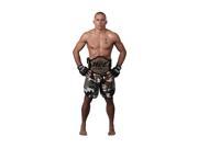 Advanced Graphics UFC Georges St Pierre Lifesize Wall Decor Cardboard Standup Cutout Standee Poster