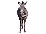 Advanced Graphics Zebra Lifesize Wall Decor Cardboard Standup Cutout Standee Poster 72 x23