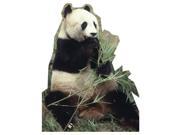 Advanced Graphics Panda Bear Lifesize Wall Decor Cardboard Standup Cutout Standee Poster 62 x47