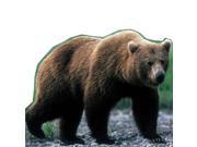Advanced Graphics Grizzly Bear Lifesize Wall Decor Cardboard Standup Cutout Standee Poster 39 x48