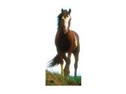 Advanced Graphics Mustang Horse Lifesize Wall Decor Cardboard Standup Cutout Standee Poster 78 x46
