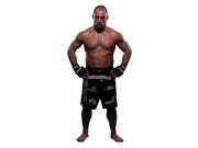 Advanced Graphics Matt Serra UFC Lifesize Wall Decor Cardboard Standup Cutout Standee Poster