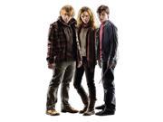 Advanced Graphics Harry Potter, Hermione, Ron Weasley Lifesize Wall Decor Cardboard Standup Cutout Standee Poster