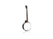 5 String Banjo With Chrome Plated Hardware