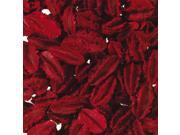 Oddity Home Red Arjun 2.8 Cups