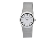 Skagen White Dial Stainless Steel Mesh Ladies Watch 564XSSSW1