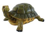 Michael Carr Designs MCD507014B Lifelike Turtle - Medium