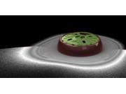 UPC 188094000240 product image for AiKiou AIK240 Jr. Slow Feed Bowl Green | upcitemdb.com