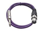 Seismic Audio Purple 2 foot XLR Female to TRS Male Patch Cable Snake Microphone Cord