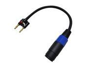 Seismic Audio - Sapt301 - 1 Foot Banana To Speakon Adapter Patch Cable - 1' Banana To Speakon Patch Cord