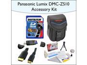 16GB Accessory Package for Panasonic DMC-ZS10 Including 16GB SDHC High Speed Memory Card, Vanguard Sydney-6B Compact Digital Camera Bag, Mini HDMI Cable and Mor