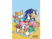 UPC 699858952885 product image for Sonic The Hedgehog: Beach Time Wall Scroll GE5288 | upcitemdb.com
