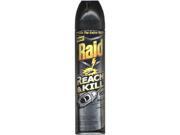 UPC 046500417658 product image for Raid Reach & Kill Wasp & Hornet Killer Refill 17.5 oz | upcitemdb.com