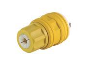 UPC 094706416746 product image for Plug, Strt Blade, 1-15P, 125V, 2P, YLW | upcitemdb.com