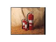 Fire Extinguisher Dry Chemical BC 30B C
