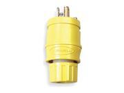 Plug, 5-15 Nema