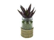 UPC 257554236380 product image for Artificial Potted Aloe Succulent Plant in Glass Jar with Burlap Grip 7.25