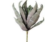 UPC 093422118835 product image for Club Pack of 12 Green Artificial Succulent Yucca Plant Picks 16
