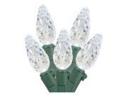 Sival 70622 70 Light 23.7 Green Wire Polar White LED C6 Christmas Light String Set with 4 Spacing