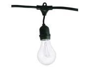 BulbritesTRING15 E26 A19KT Outdoor String Light w Vintage Edison Bulbs 48 Feet 15 Lights 1 Ct