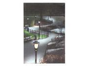 Kennedy s Country Collection 71436 20 x 14 x 3 4 Walk In The Park Battery Operated LED Lighted Canvas Batteries Not Included