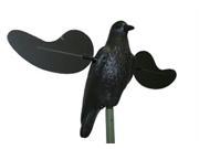 MOJO Crow