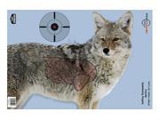 Birchwood Casey Pregame Target Target With Visible Vitals Coyote 16.5x24 3 Targets 35405