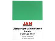 JAM Paper® Astrobright Gamma Green Large Full Page Sticky Labels 8 1 2 x 11 Full Page 10 Labels per Pack