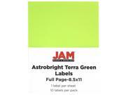 JAM Paper® Astrobright Terra Green Large Full Page Sticky Labels 8 1 2 x 11 Full Page 10 Labels per Pack