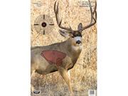 Birchwood Casey Pregame Mule Deer 16.5 x 24 Targets 3pk 35402