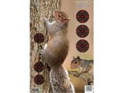 Birchwood Casey Pregame Squirrel 12 x 18 Targets 8pk 35406