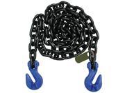 5 16 Grade100 Tagged Recovery Chain 15Ft G10 51615SGG