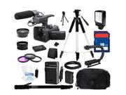 Sony HXR-NX30 Palm Size NXCAM HD Camcorder with Projector with 96GB Flash Memory, Everything You Need Kit, HXR-NX30U