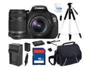 Canon EOS REBEL T3i Black 18 MP Digital SLR Camera with 18-55mm IS II Lens and Canon EF-S 55-250mm f/4-5.6 IS II Lens, Beginner's Bundle Kit, 5169B003