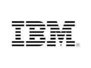IBM 600 GB 2.5 Internal Hard Drive