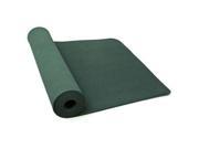 PurEarth Ekko Yoga Mat 6mm Yoga 72 Length x 24 Width x 0.24 Thickness Thermoplastic Elastomer TPE Sage