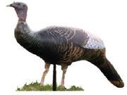 Cherokee Sports Inflatable Submissive Sally Hen Decoy