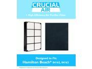 Hamilton Beach TrueAir HEPA Air Purifier Filter Carbon Part 04913 04923