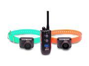 Dogtra 2502T B T B Series 2 Dog Train and Beeper System